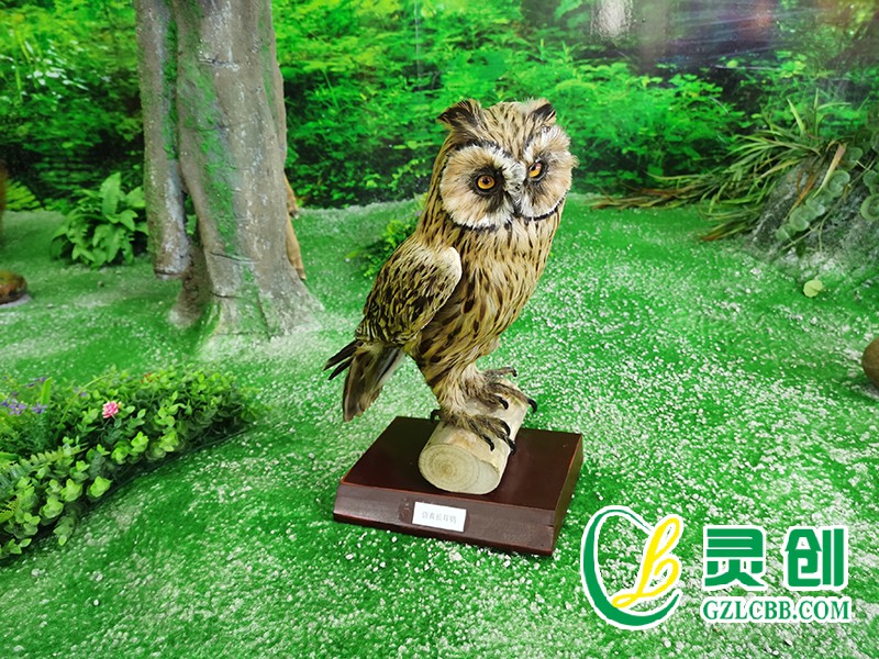 仿真長耳鸮標(biāo)本