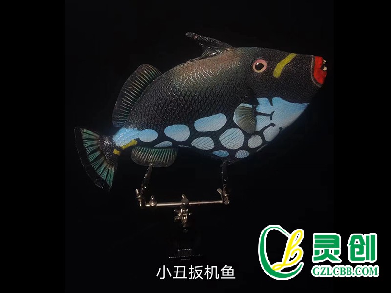 小丑扳機魚標(biāo)本